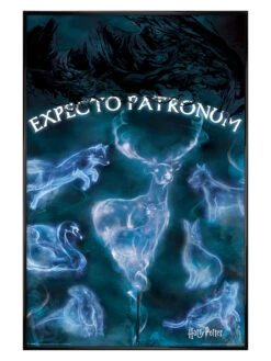 Expecto Patronum 6 Expecto Patronum -POPARTUK SHOP 100552 front