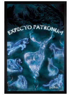 Expecto Patronum 7 Expecto Patronum -POPARTUK SHOP 100656 front