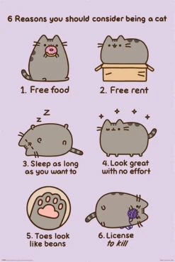 Reasons To Be A Cat