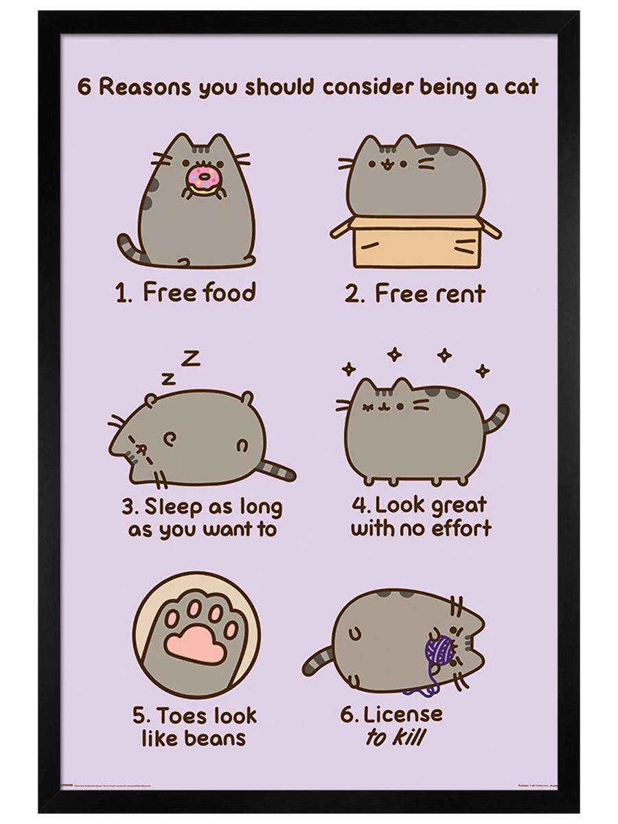 Reasons To Be A Cat 3 Reasons To Be A Cat - Image 3