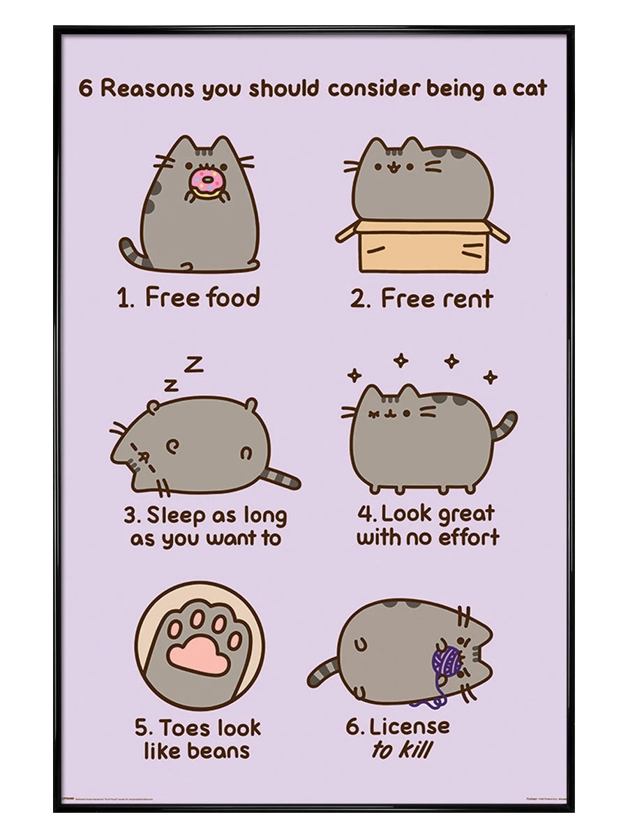 Reasons To Be A Cat 4 Reasons To Be A Cat - Image 4