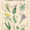 Herbs For The Garden Witch