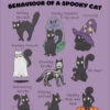 Behaviour Of A Spooky Cat