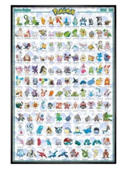 Hoenn -POPARTUK SHOP 169281 front 014023d0 1b24 48e6 8ae4 35eee241e968