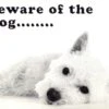 Beware Of The Dog