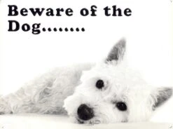 Beware Of The Dog