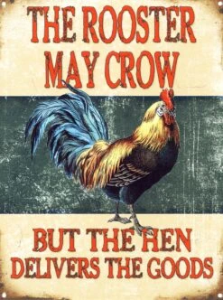 The Rooster May Crow